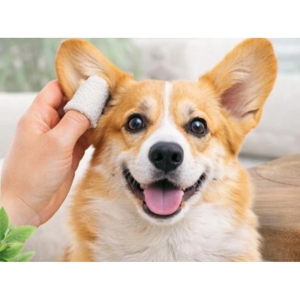 Pack of 2 Pet Ear Cleaning Wipes (White) - Image 3
