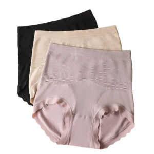 Nylon Women's Seamless High Waist Hipster 105 Panty Free Size (Multicolor)